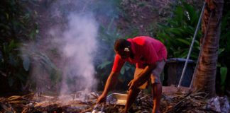 Popular Food in Fiji - Lovo
