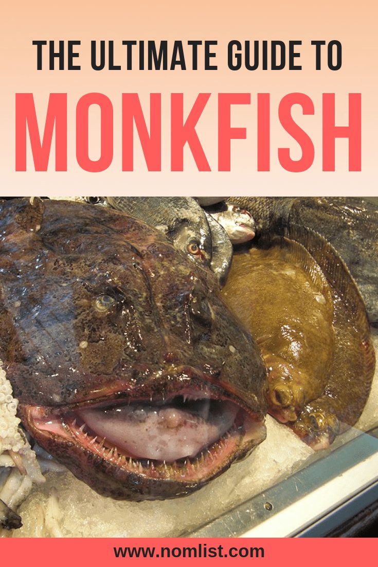 Don’t let its ugly looks scare you, this big fat fish is considered one of the tastiest in the ocean. Check out our ultimate guide to Monkfish! #monkfish #fish #worldfish #ediblefish #allaboutfish #fishrecipes