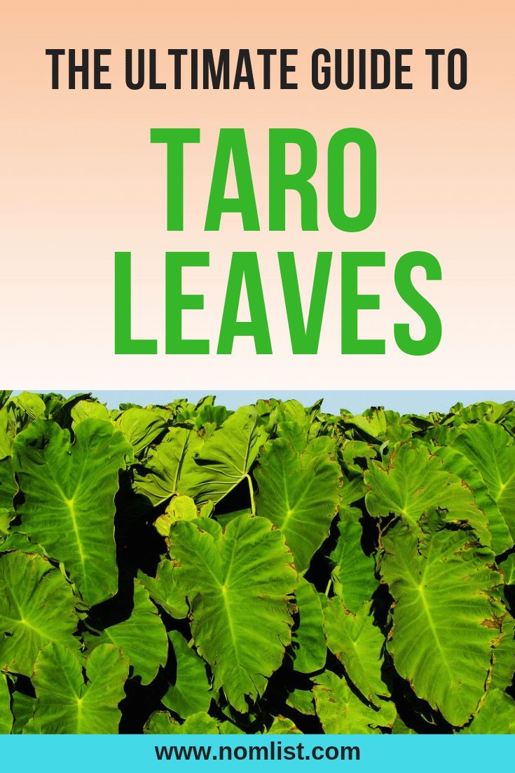 Ultimate Guide to Taro Dalo Leaves