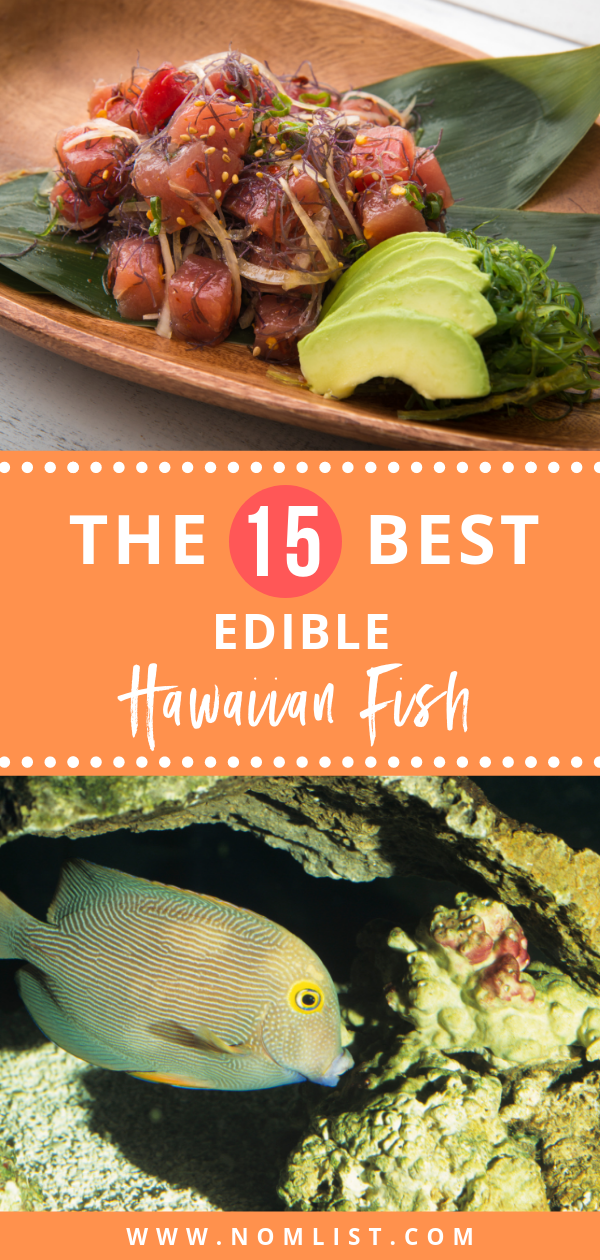 15 edible hawaiian fish - Pinterest Whether you are a local, or you are planning a vacation to Hawaii, here is an ultimate guide to all the edible Hawaiian fish to try out! #hawaiianfish #hawaii #hawaiian #hawaiinfood #fishing #fish