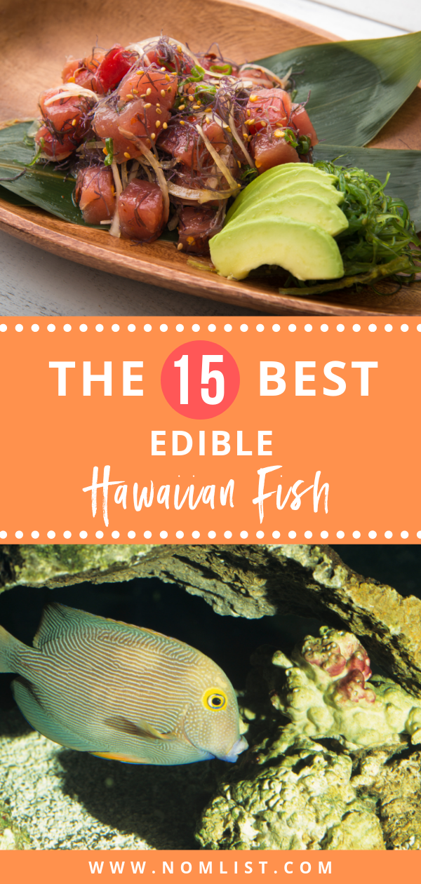 Whether you are a local, or you are planning a vacation to Hawaii, here is an ultimate guide to all the edible Hawaiian fish to try out! #hawaiianfish #hawaii #hawaiian #hawaiinfood #fishing #fish 