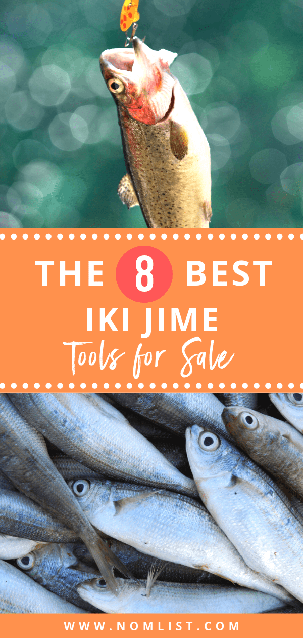 Iki jime is a method of killing fish, by inserting a screwdriver shaped tool, or a sharp narrow knife, into the brain of the fish. It a humane way to slaughter fish, as it is incredibly quick and painless for the fish. The Best Iki jime tools can be really useful when out fishing, as it offers an easy, hassle-free way to slaughter the fish you catch, and it is a really quick method to use as well. #ikijime #fishing #fish #fishtools #fishingtools #fishinggear #outdoors #flyfishing #allaboutfish