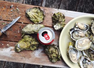 Best Oyster Tools
