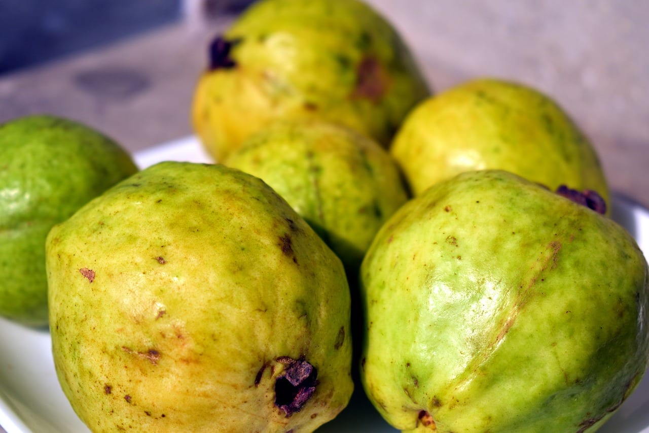 Fruits in Ghana - Guava